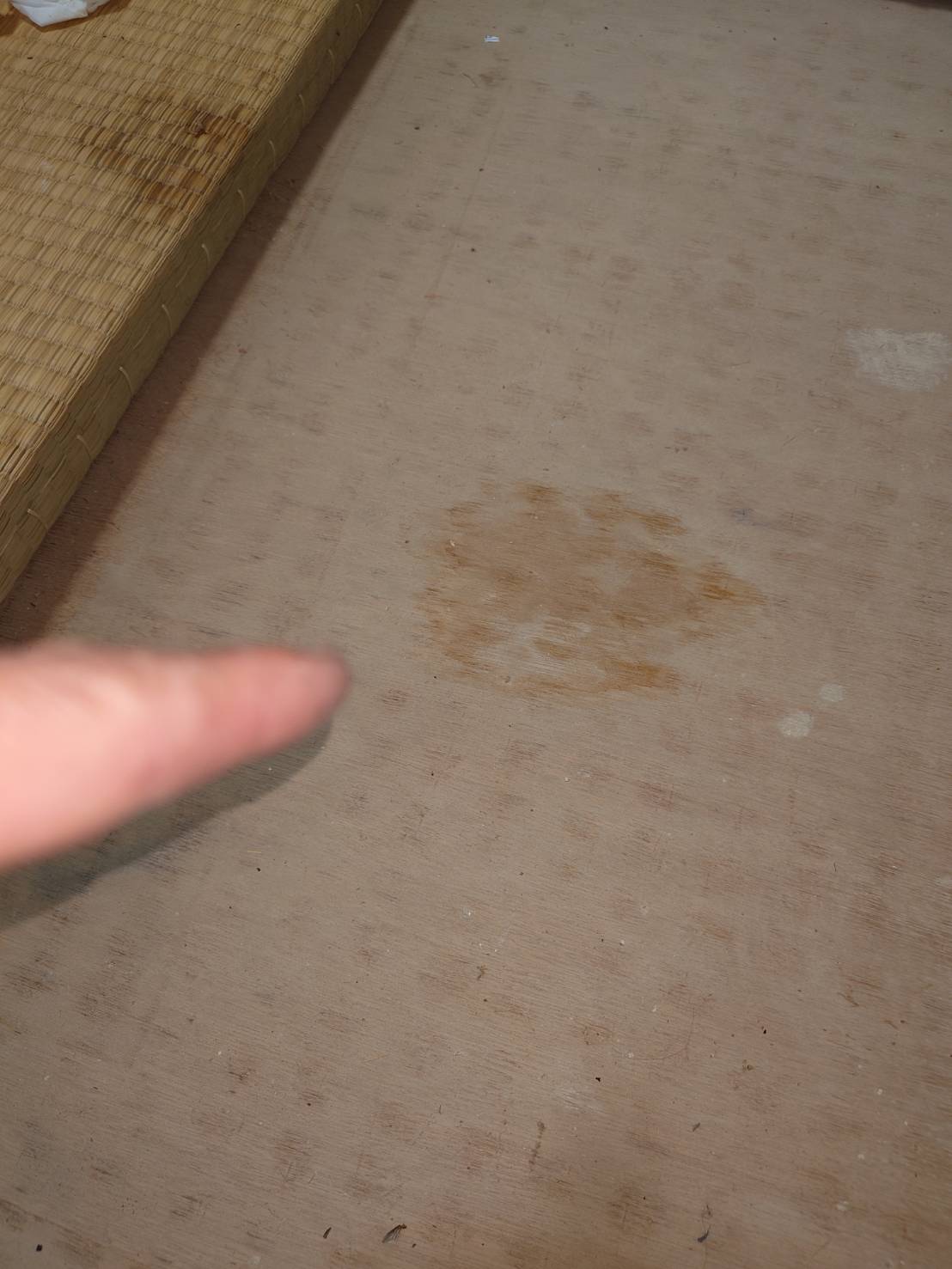 畳の裏と、畳下床の体液の染み