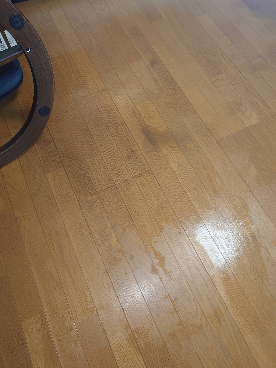 リビング床のビフォアアフター