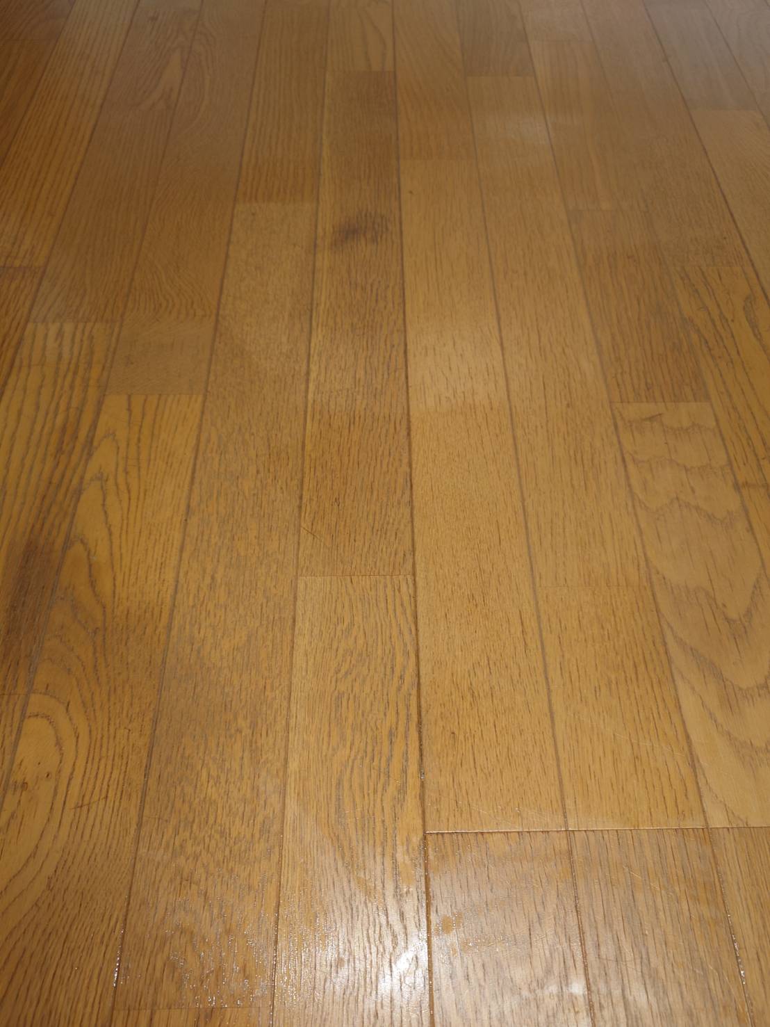 リビング床のビフォアアフター