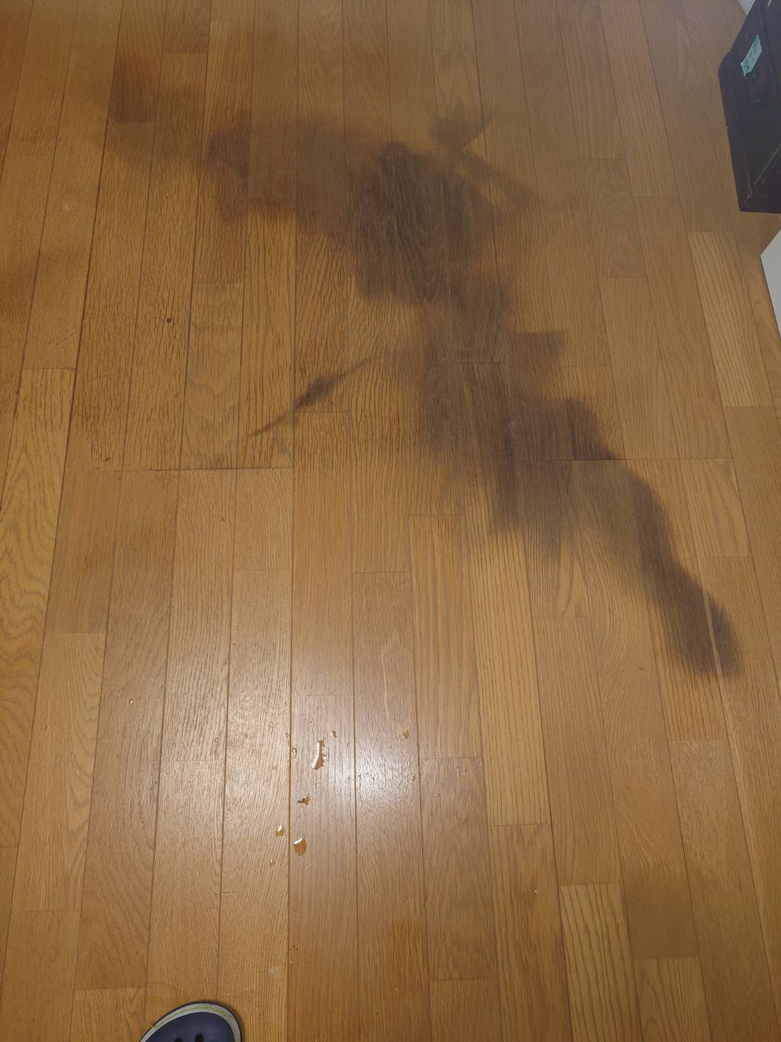 倒れられていた場所のビフォア、清掃前、ビフォア