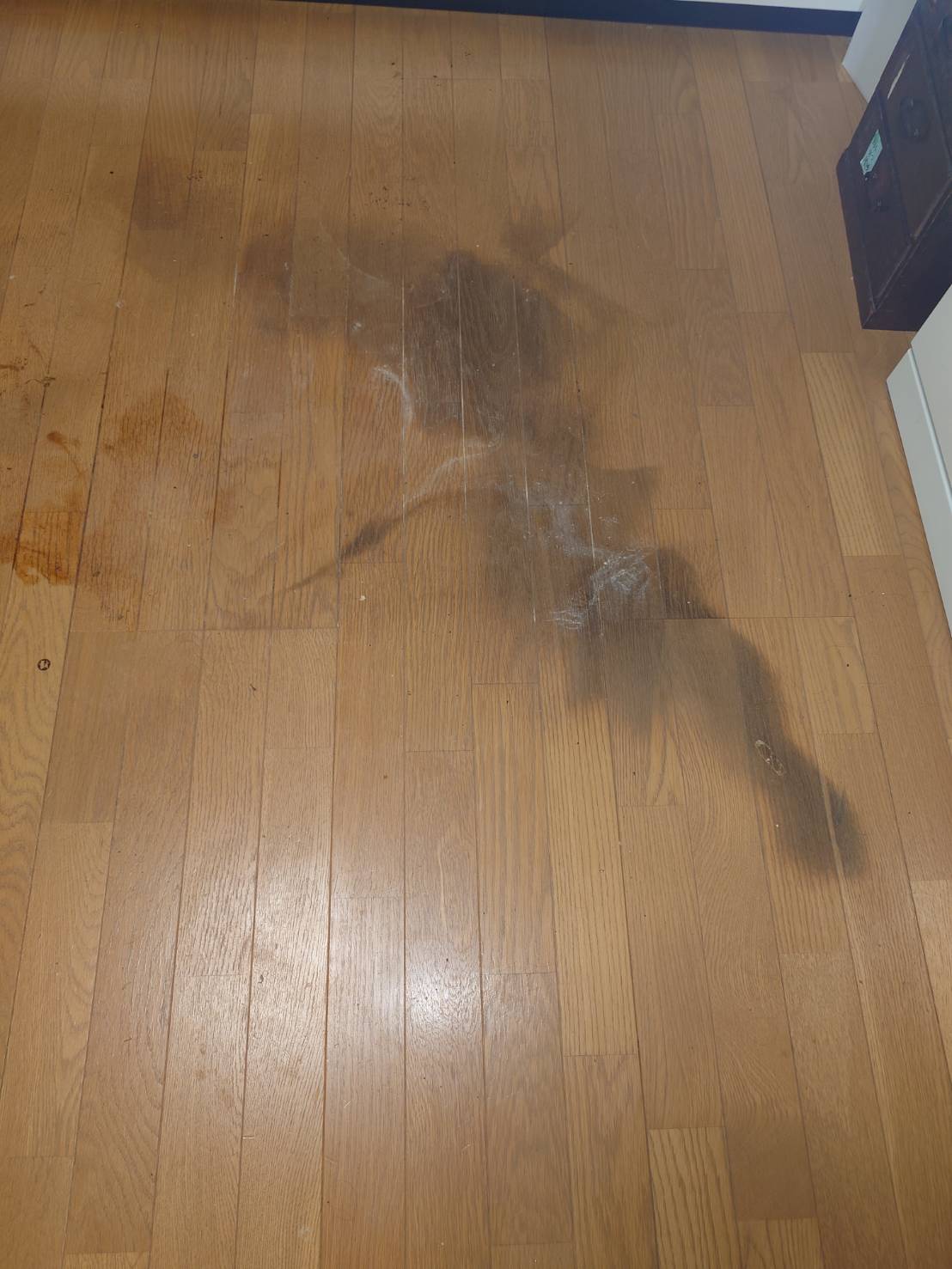 倒れられていた場所のビフォア、清掃前、ビフォア