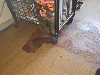 亡くなった箇所のビフォア、撤去後、洗浄後、削り後、アフター