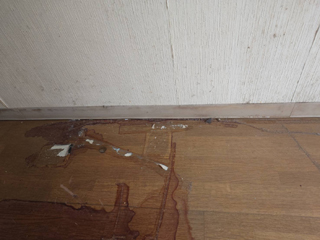 亡くなった箇所壁際汚染のビフォア、巾木撤去後、アフター