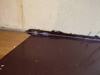 亡くなった箇所壁際汚染のビフォア、巾木撤去後、アフター