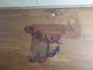 亡くなった箇所壁際汚染のビフォア、巾木撤去後、アフター