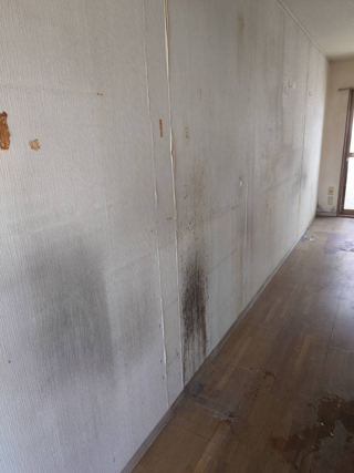 キッチンの廊下のビフォアアフター