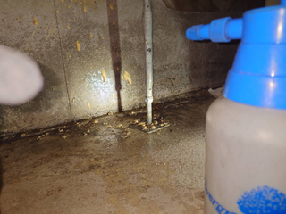 消毒剤散布の風景