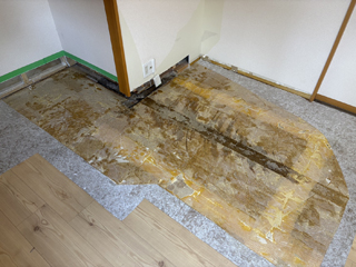 亡くなった場所のビフォア、撤去後、床撤去後、削り取り後、消毒剤散布後、アフター