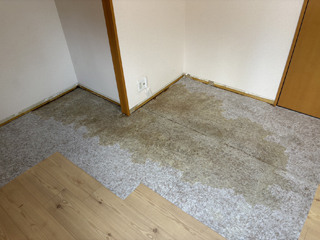 亡くなった場所のビフォア、撤去後、床撤去後、削り取り後、消毒剤散布後、アフター
