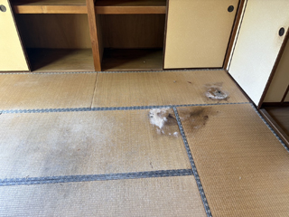 亡くなった箇所のビフォア、撤去後、畳撤去後、アフター