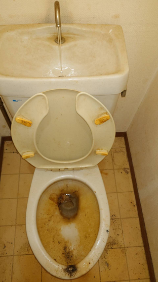 便器のビフォアアフター