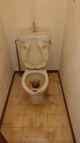 トイレのビフォアアフター