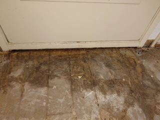 床下汚染の写真
