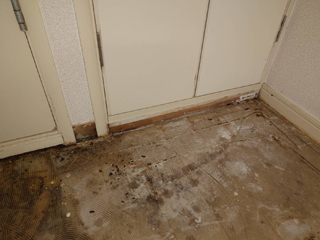 床下汚染の写真