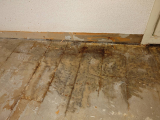 床下汚染の写真