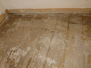 床下汚染の写真