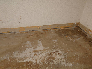 床下汚染の写真