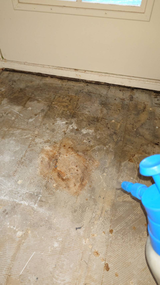 消毒剤の吹き付け風景