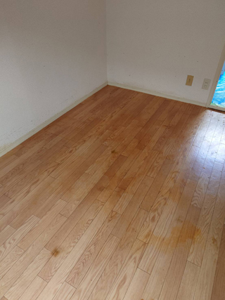 亡くなった場所の清掃後