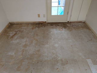 亡くなった場所の床３枚撤去後、消毒後、床上特殊清掃後、アフター