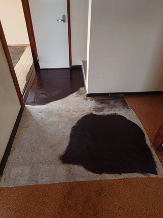 亡くなった場所の亡くなった場所のビフォア、床材撤去後、床撤去後、アフター