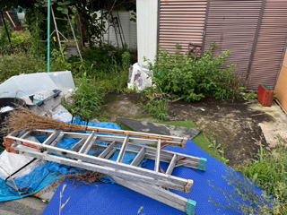 ビフォア写真