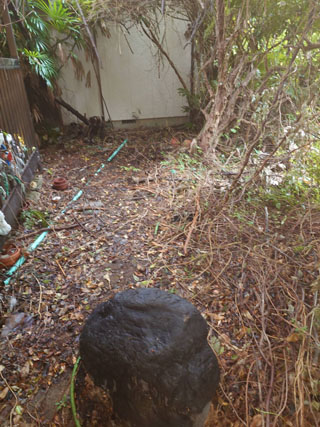庭のビフォアアフター