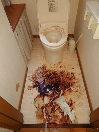 トイレのビフォアアフター