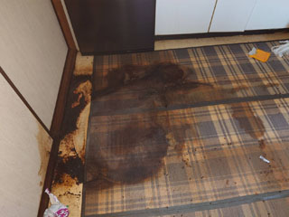亡くなった場所のビフォア、敷物撤去後、清掃後