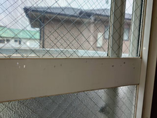 窓の体液跡のビフォアアフター