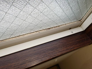 窓の体液跡のビフォアアフター