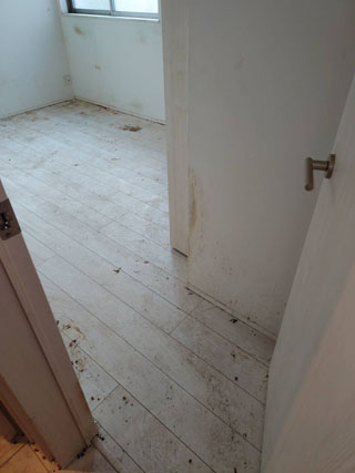 部屋2のビフォアアフター